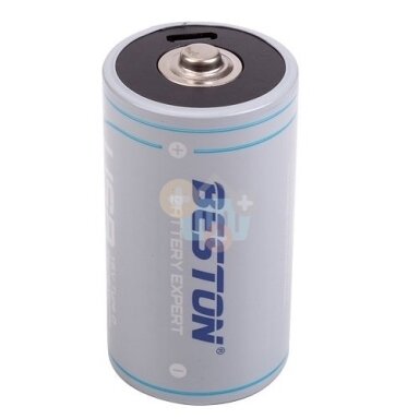 Baterija D įkraunama su USB-C lizdu, 1.5V, 4000mAh, Li-Ion