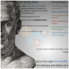 Dar vienas straipsnis